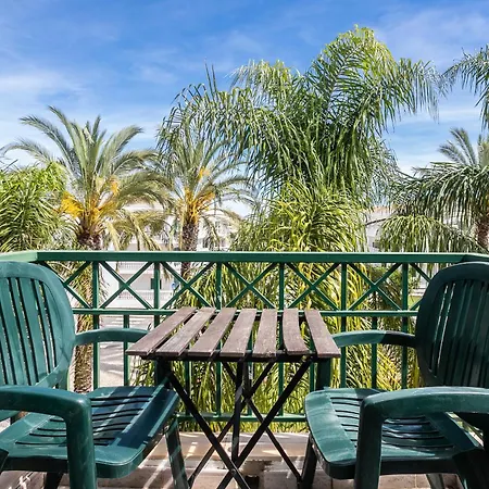Palm Tree By East Algarve Guest Tavira